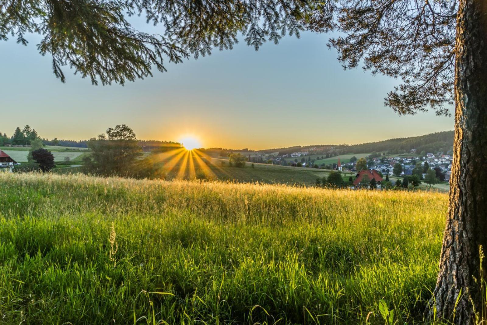Landhaus Panoramablick Schonach im Schwarzwald ภายนอก รูปภาพ
