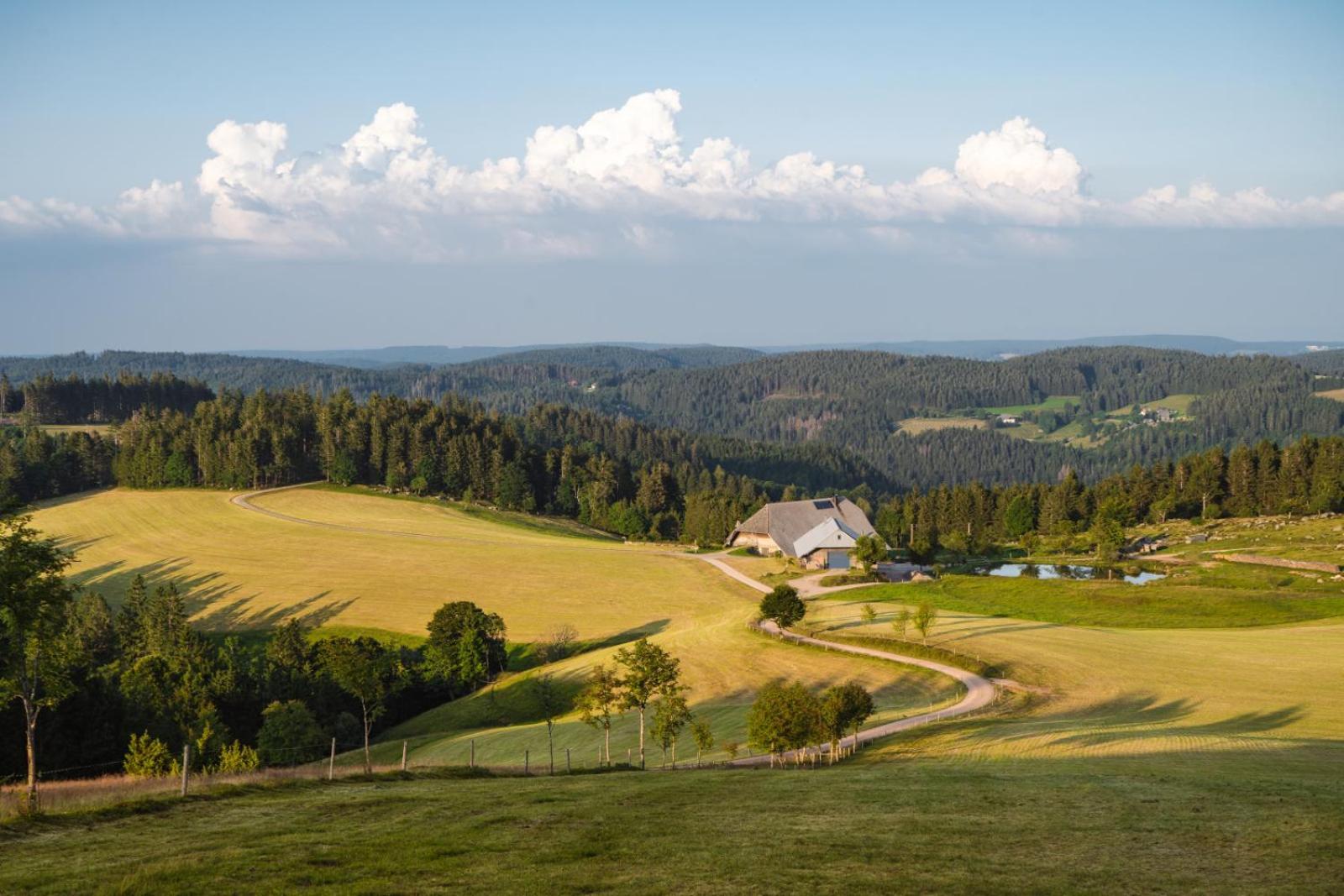 Landhaus Panoramablick Schonach im Schwarzwald ภายนอก รูปภาพ