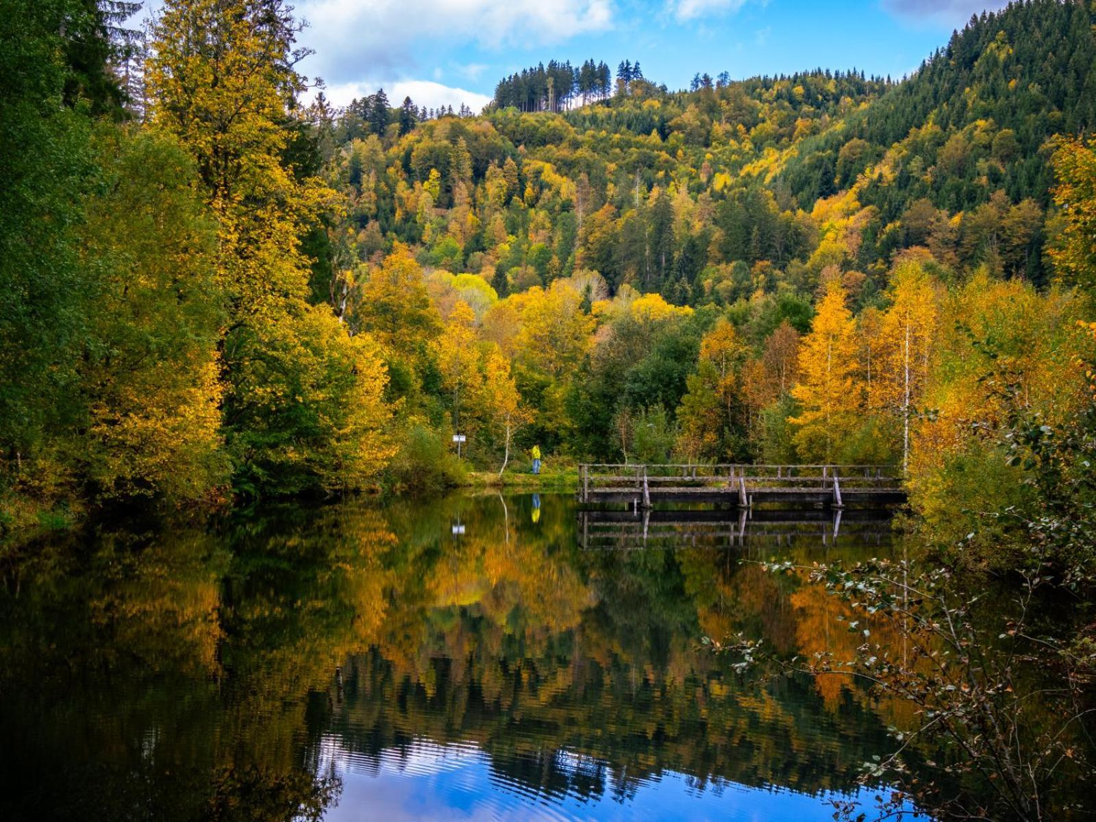 Landhaus Panoramablick Schonach im Schwarzwald ภายนอก รูปภาพ