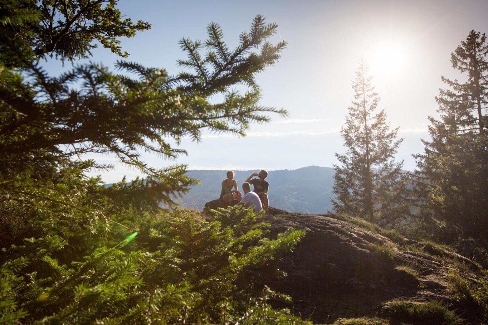 Landhaus Panoramablick Schonach im Schwarzwald ภายนอก รูปภาพ